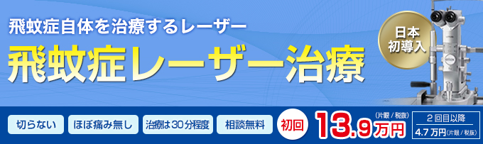 かしこい大家の不動産投資 ～不動産投資と海外投資で利回りが下がらないアパート経営～